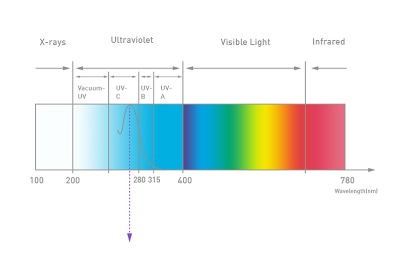 Hộp-khử-khuẩn-tia-UV-C-kiêm-xông-tinh-dầu